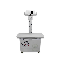 MY-W004C Veterinary fixed radiography system digital Vet X-ray machine